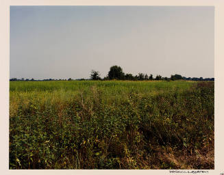 © Patrick Nagatani 1993. Photography by Edward C. Robison III.