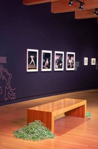 Installation View: Gallery 2 Football. Photography by Edward C. Robison III.